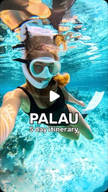 A creator snorkelling in turquoise water off Palau, filming herself, over the words "Palau, 5 day itinerary".